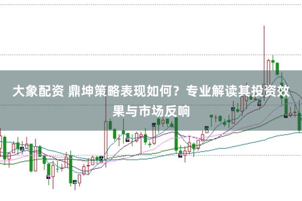 大象配资 鼎坤策略表现如何？专业解读其投资效果与市场反响
