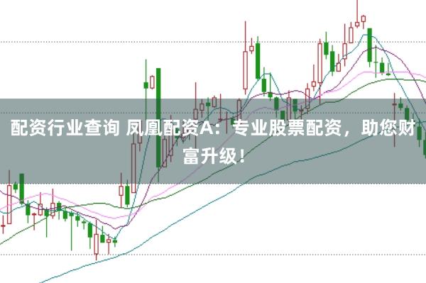 配资行业查询 凤凰配资A：专业股票配资，助您财富升级！