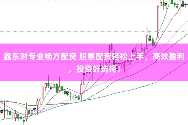 鑫东财专业杨方配资 股票配资轻松上手，高效盈利，投资好选择！