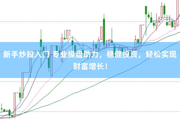 新手炒股入门 专业操盘助力，稳健投资，轻松实现财富增长！