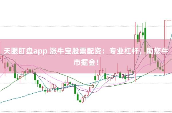 天眼盯盘app 涨牛宝股票配资：专业杠杆，助您牛市掘金！
