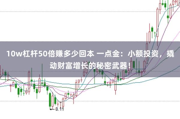 10w杠杆50倍赚多少回本 一点金：小额投资，撬动财富增长的秘密武器！