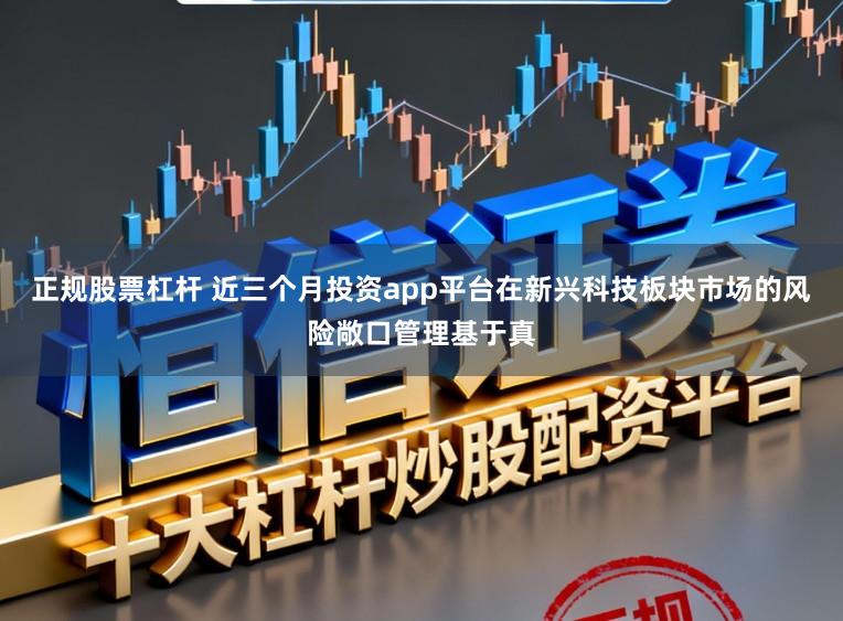 正规股票杠杆 近三个月投资app平台在新兴科技板块市场的风险敞口管理基于真